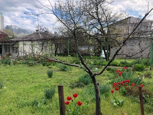 Продам участок земли 10, 5 соток в Одессе,  район Аркадия #1714534