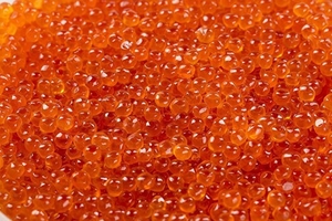 Склад икры в Германии #1714504