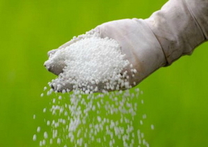 Селитра аммиачная.Минеральное Гранулы Азотное Удобрение Опт Grupa Azoty Польша #1714736