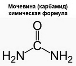 Сечовина Карбамид Мочевина Химическое сырьё Удобрение Корм добавка ДнепроАзот  #1714739