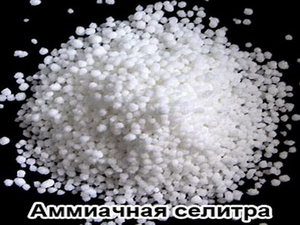 Аммиачная селитра N-34.4% (NH4NO3) Нитрат аммония ДнепроАзот #1714738
