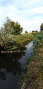 Продажа земельного участка под жилую застройку в селе Гоголев,  Киевской области #1715847