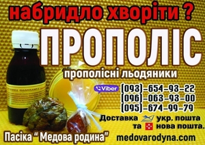 Прополіс водний,  cпиpтoвий,  масляний. #1716553