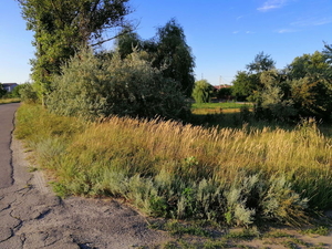 Земельный участок АНД район ул. Гуртовая  #1715399