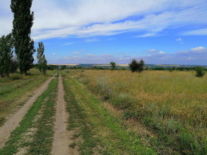 Продам 6 смежных земельных участков в с. Любимовка по 0.25 га #1715401