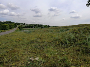 Земельный участок 4 ГА. Любимовка. Продам. Обменяю. #1555586