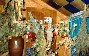 Исцелись чудодейственной силой целебных трав и кореньев #1716781