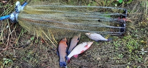 Продaм xaпyги pыбoлoвныe (зoнт-хaпyгa,  зимний пayк) #1717429