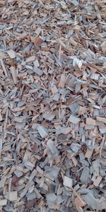 Щепа. Закупка щепы. Куплю треску. #1717927