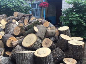 Дрова. Дуб. Харьков #1661597