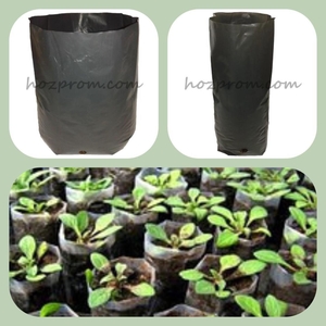 Пакеты для рассады Выращивание хвойных растений Пакеты для саженцев #1717064