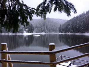 Новорічна Магія Закарпаття #1603092