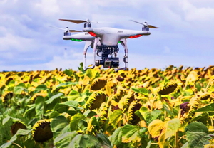 Агро Химия полей Авиа Дронами.Семена,  СЗР,  Закупка Урожая Комплексный подход  #1720459