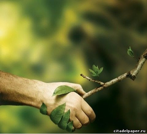 Макулатура. Дорого! #1716119