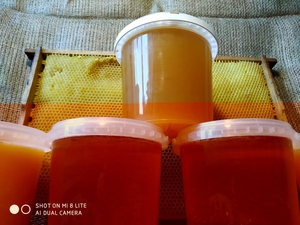 Мед цветочный #1693940