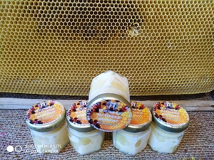 Пчелиное маточное молочко #119183