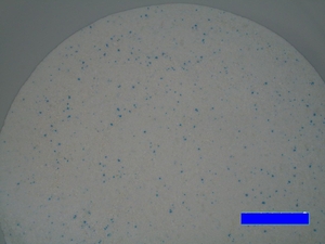 Пральний порошок від виробника. #1724633