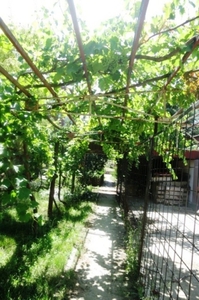 Продам участок на Тилигульском лимане #882971