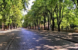 Сдам в Одессе элитный дом 410 м Французский бульв,  подвал (оборудован),  парковка #1725265