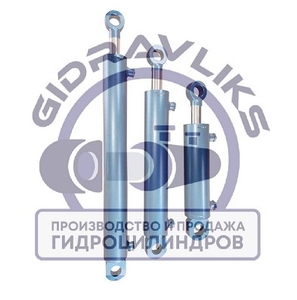 Гидроцилиндр ПКУ-08,  КУН,  СНУ. Борона,  Дровокол,  Сеялка  Погрузчик #1726741