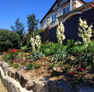 Продам свой дом в тихом пригороде Харькова #1728274