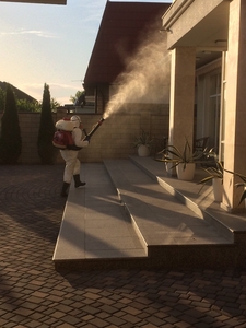             Обработка от тараканов,  блох,  кло                                    #1467338