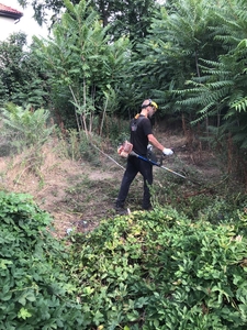 Уборка участков,  покос и вспашка. Работы выполняем как для себя #1729882