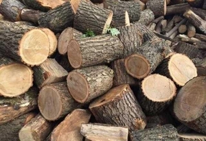 Дрова дубовые,  дуб,  ясень #1729923