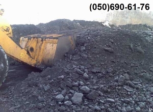 Каменный газовый уголь. Опт. Доставка по Украине. #1729886