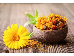 Цветки календулы ( ноготки ) сухие от 1 грамма #1731235