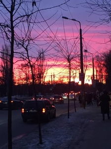 Машина,  гpyзчики Україна  #1732888