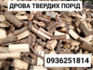 Продаємо Дрова твердих порід  #1734007