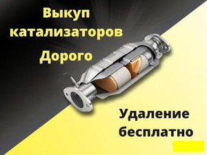 Скупка катализаторов Запорожье  #1734483