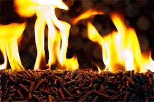 Паливні пелети з лушпиння соняшника #1736197