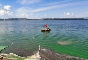 Услуги земснаряда #1735672