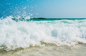 Одесса продажа кафе на пляже 95 м кв,  коммуникации,  документы. #1735284