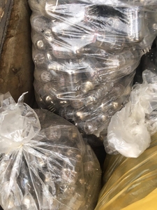 Куплю старые радио лампы #1736411