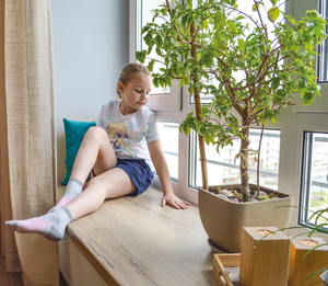 Подоконники деревянные ALBER Альбер коллекция Премиум #1736806