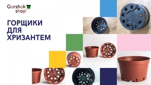 Квіткові горщики для хризантем (оптові ціни) #1737802