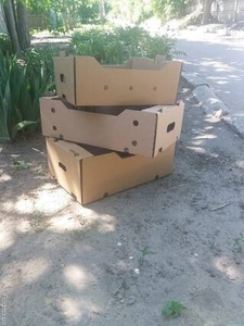 Продам картонный ящик /купить картонный ящик под персик  #1737785
