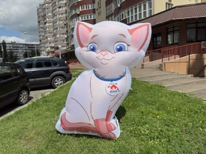 Надувная реклама Продвижение бизнеса #1738247