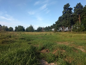 Участок под застройку 50 соток в с. Дерновка,  Киевской области #1739051