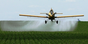 Услуги десикации сои самолетом Бекас Нарп Чмелак #1738706