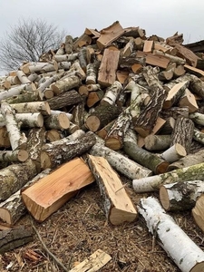 Продаю дубові дрова колоті дрова Луцьк ціна #1739417