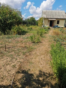 Продам ухоженный участок на Червоном хуторе #1740024