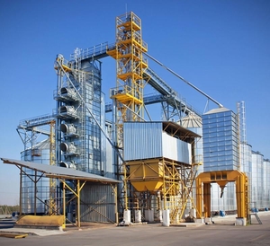 Услуги элеватора: сушка,  очистка и хранение зерна. Киевская обл. #1740999