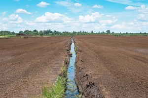 Продам торфобрикет,  торфяний брикет #1741610