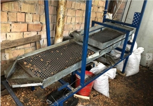 Лінія з переробки волоського горіха  #1741878