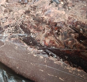 Продам Шоколад,  сладости,  кондитерская некондиция,  кофе #1742014