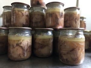 Тушковане М’ясо Курки #1741993